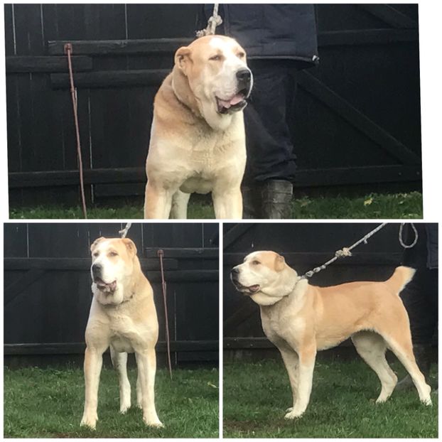 8F1421BA-1109-4E64-912B-44F9A44A744E - Bilkka