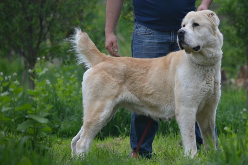 1ABAF352-CEAC-4558-BFC1-4BE8E804CD55 - Vaya