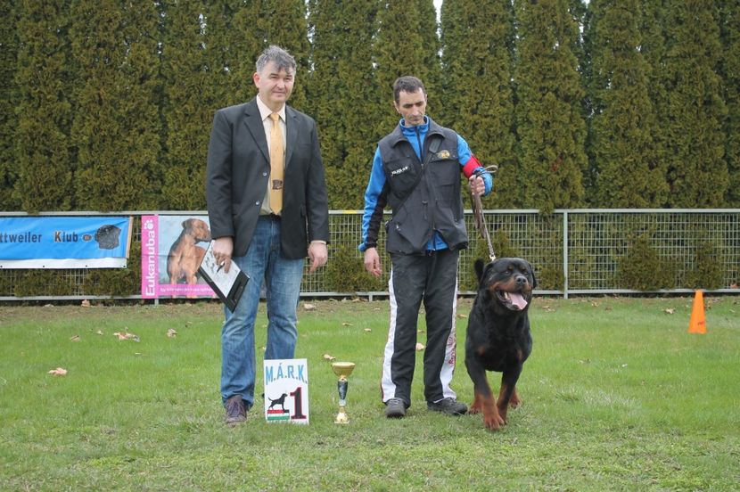  - rottweiler canisa adamsrott