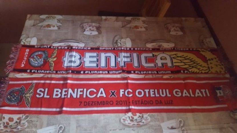 Benfica Otelul Galati 2011 - Otelul Galati Istorie
