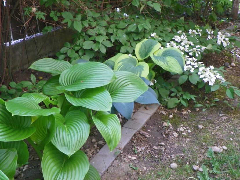 10 mai (140) - Primavara 2018