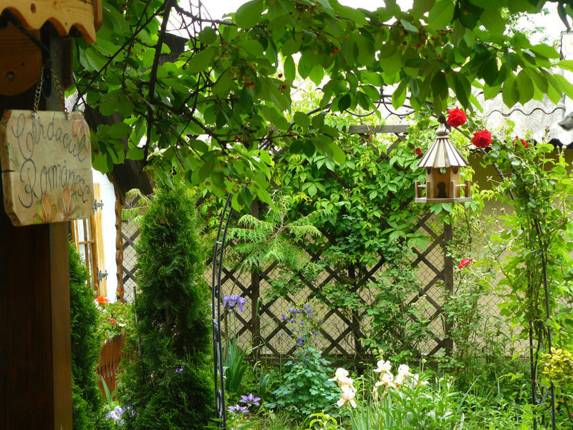 2018 Sympatie - 2017 Pridvor