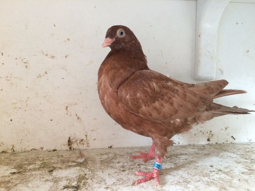 30 - 1-Lot zbor 2018