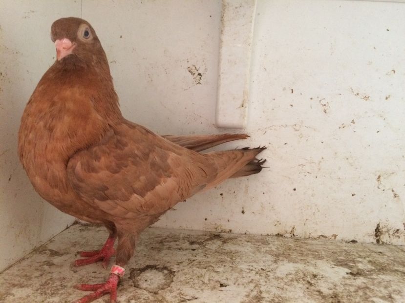 40 - 1-Lot zbor 2018