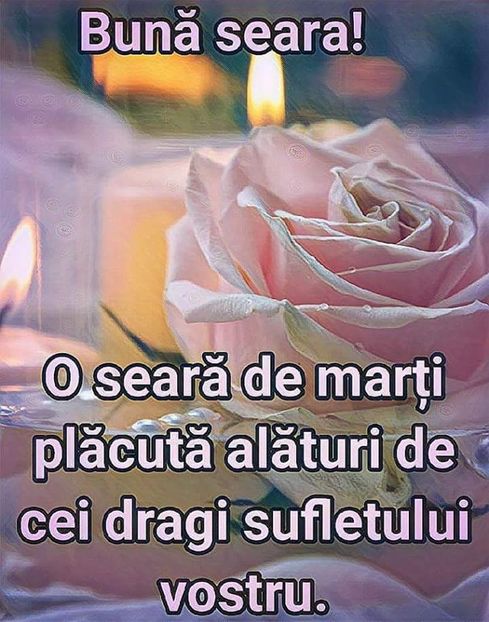  - Poze 4
