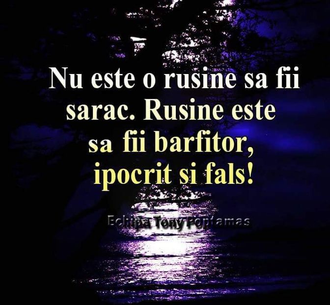  - Poze 4