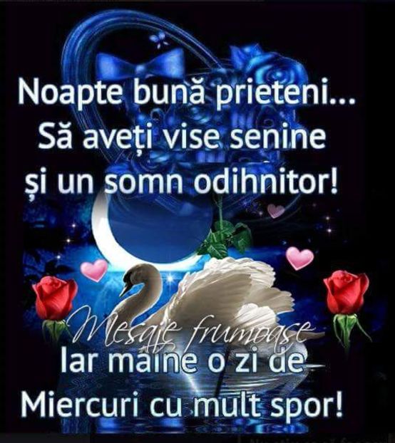  - Poze 4