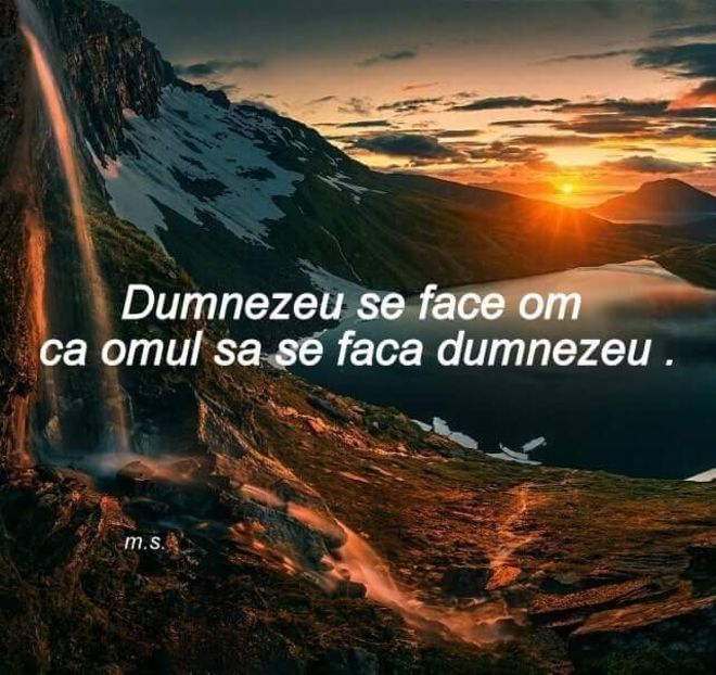  - Poze 4
