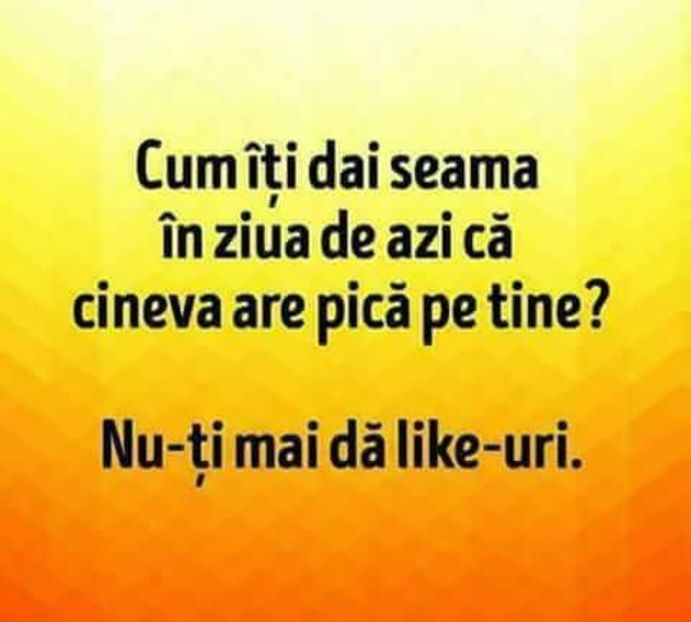  - Poze 4