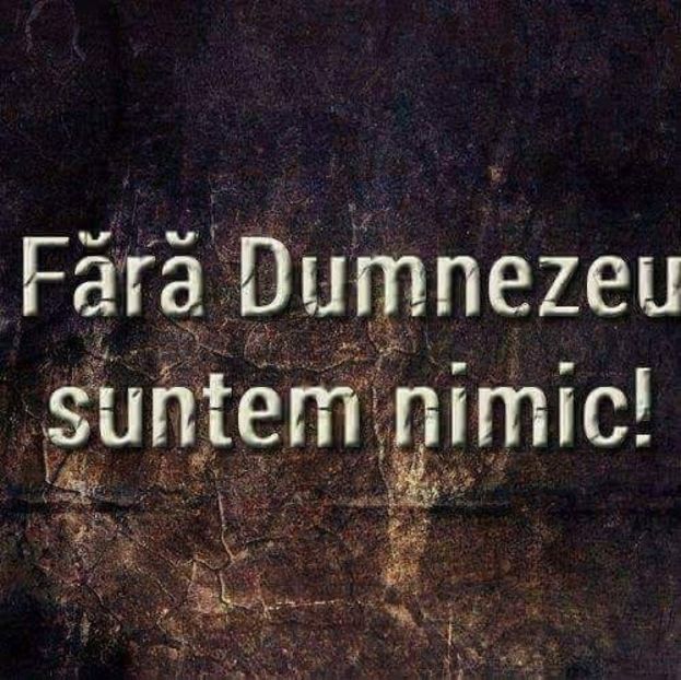  - Poze 4