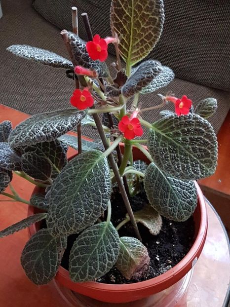 thumbnail (64) - EPISCIA 2018