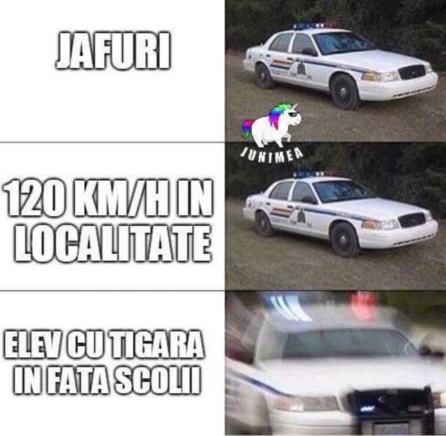  - Poze 4