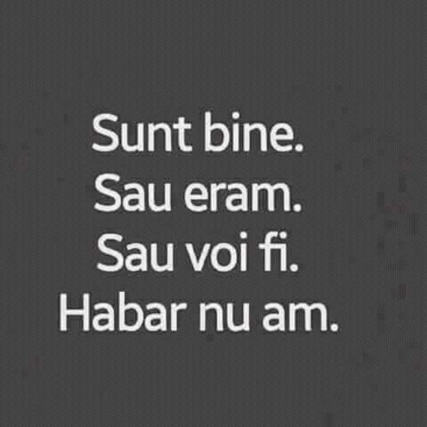  - Poze 4