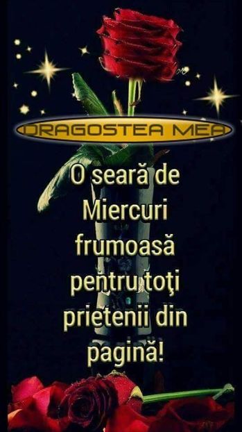  - Poze 4