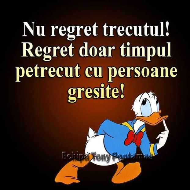  - Poze 4