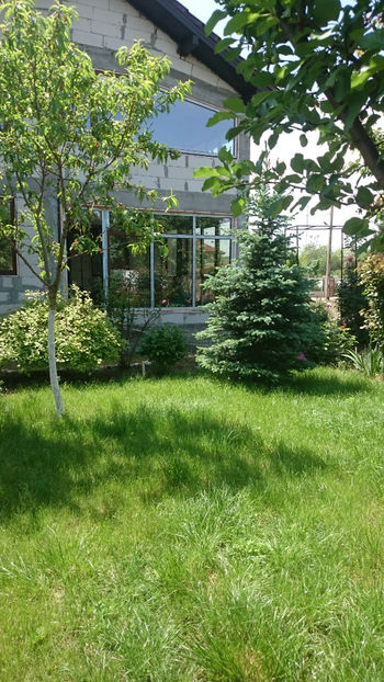 - Gradina primavara 2018