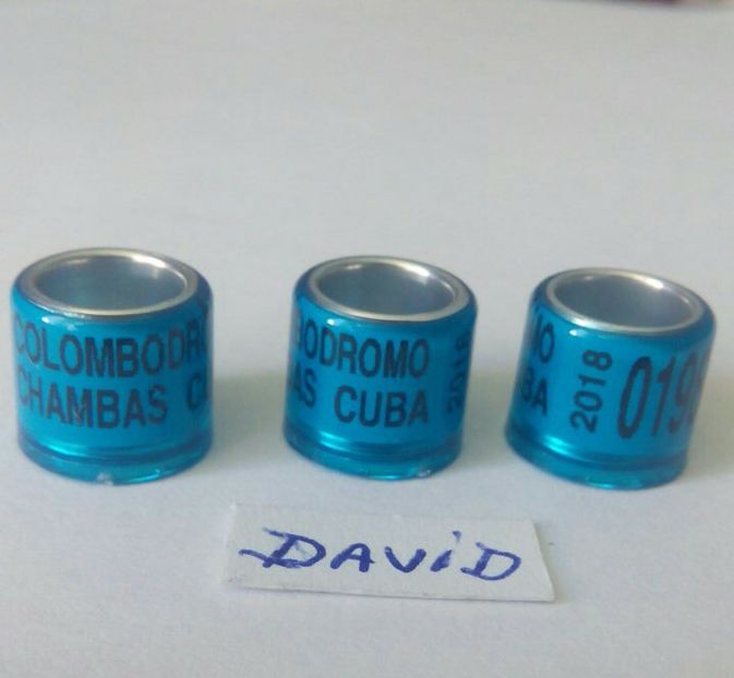 Columbodrom Cuba -fara talon....-1 leu - Inele porumbei 2018 de vanzare -  David11