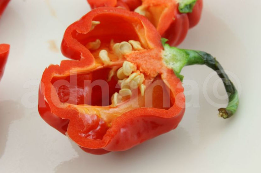  - Habanero RED