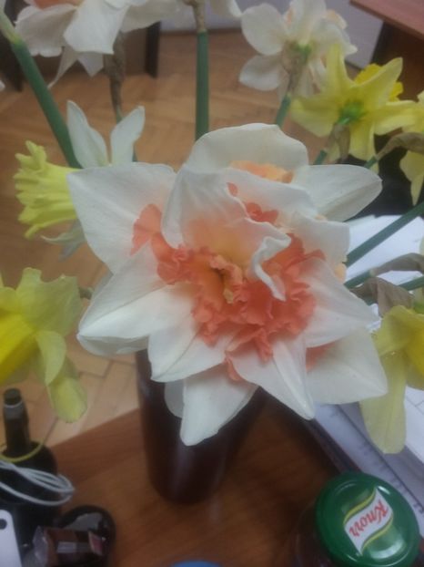  - 2018 - primavara flori