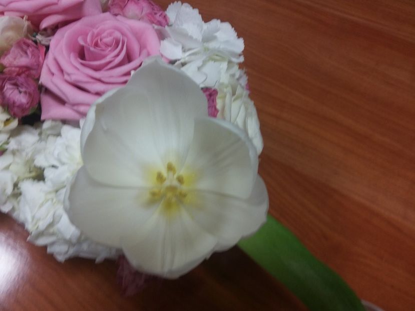  - 2018 - primavara flori