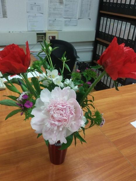  - 2018 - primavara flori