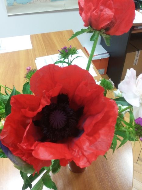  - 2018 - primavara flori