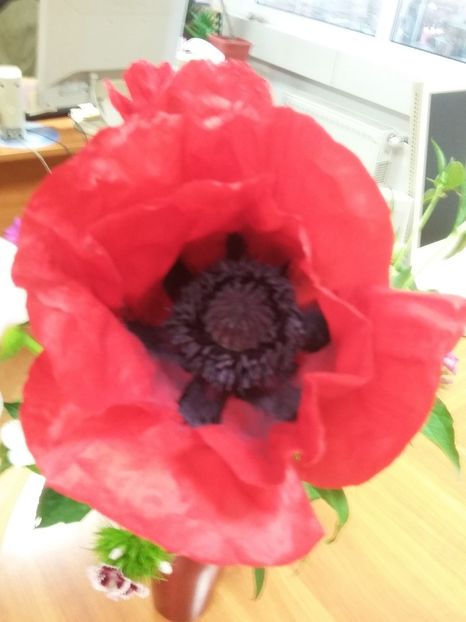  - 2018 - primavara flori