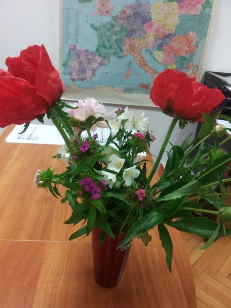  - 2018 - primavara flori