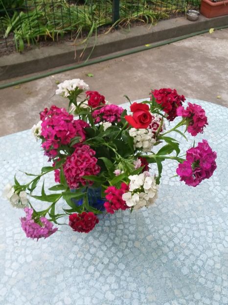  - 2018 - primavara flori