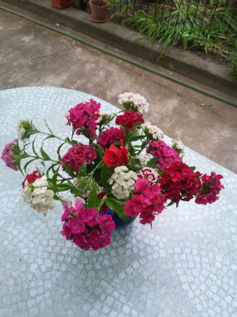  - 2018 - primavara flori