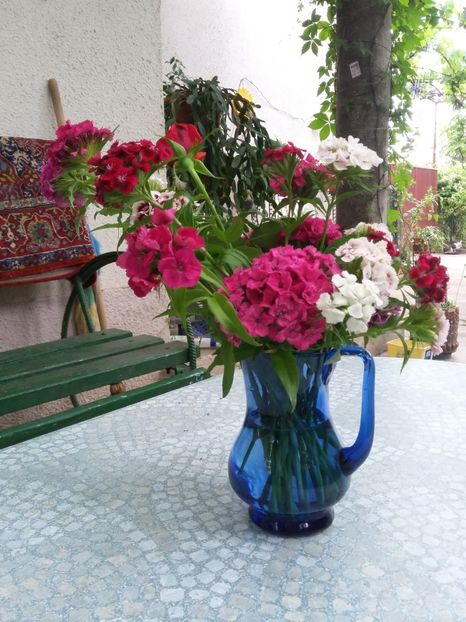  - 2018 - primavara flori