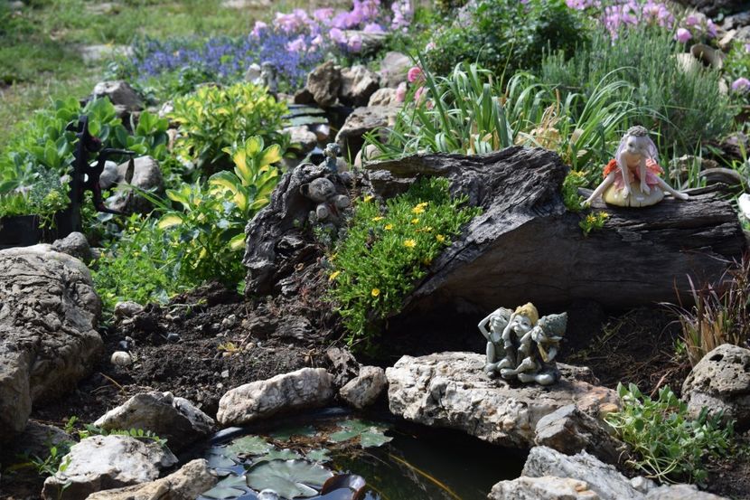  - TRANDAFIRI PRIMAVARA 2018 I