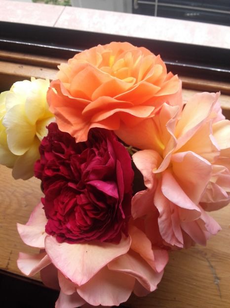 Buchet trandafiri urcatori - Gradina-2018