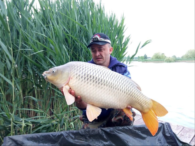 Fish Arena Mai 2018 - Capturi-pesti