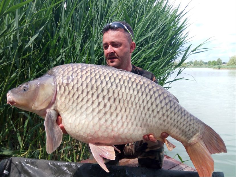 Fish Arena Mai 2018 20kg - Capturi-pesti