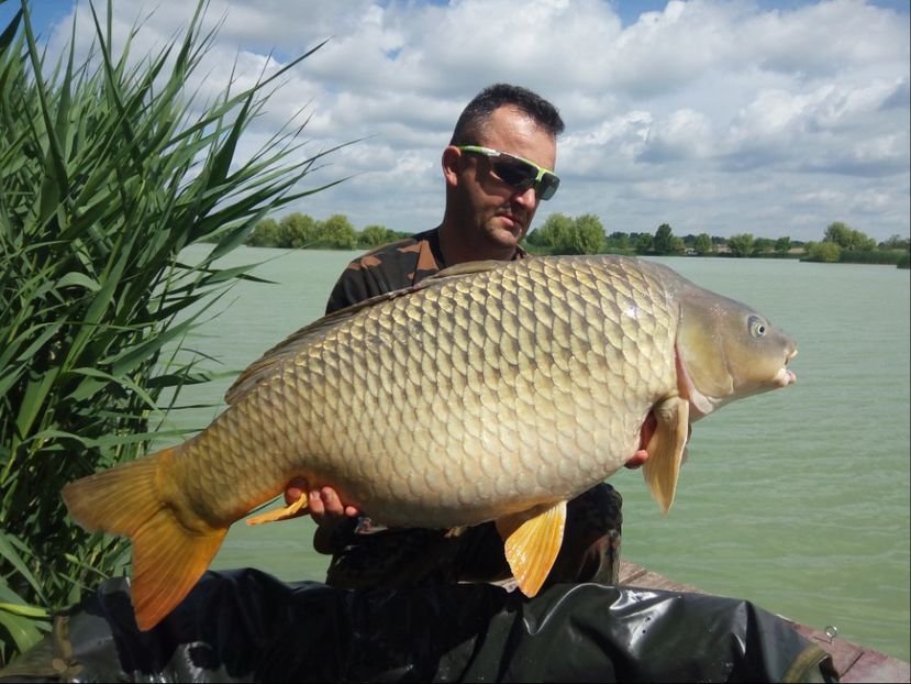 Fish Arena Mai 2018. 21kg - Capturi-pesti