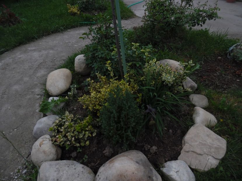  - Mai in gradina