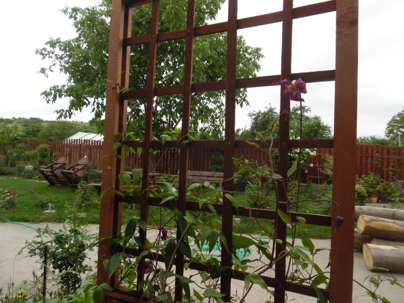  - Mai in gradina