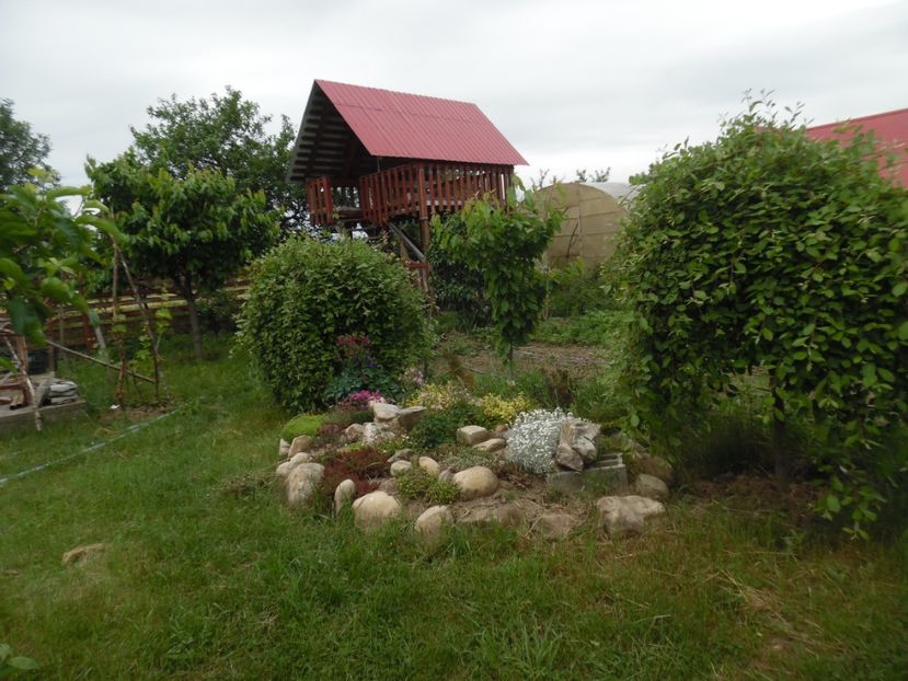  - Mai in gradina