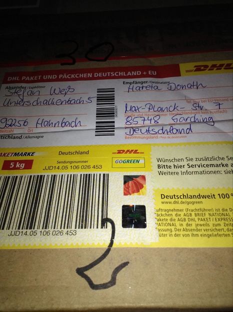 88CCA428-EF7B-4D70-A8A4-C80BF0C5BC57 - Giant Jersey oua Germania