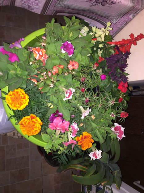  - Achizitii FLORI 2018