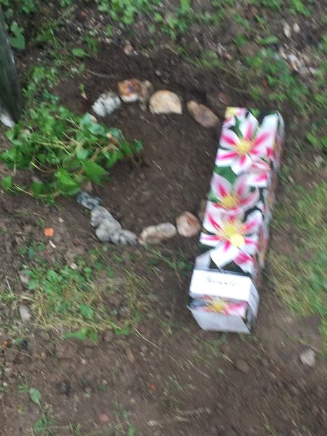  - Achizitii FLORI 2018