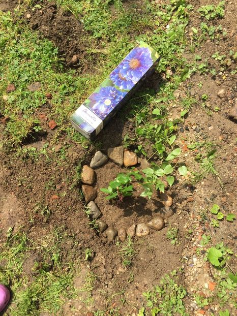  - Achizitii FLORI 2018