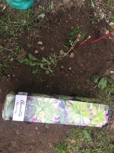  - Achizitii FLORI 2018