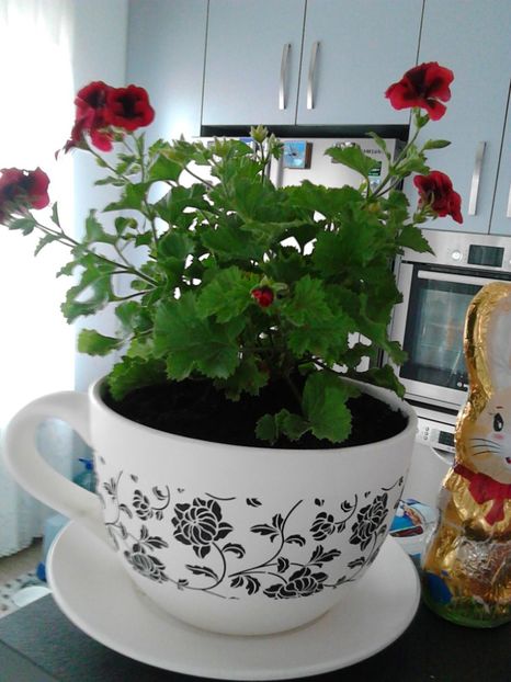  - FLORILE MELE