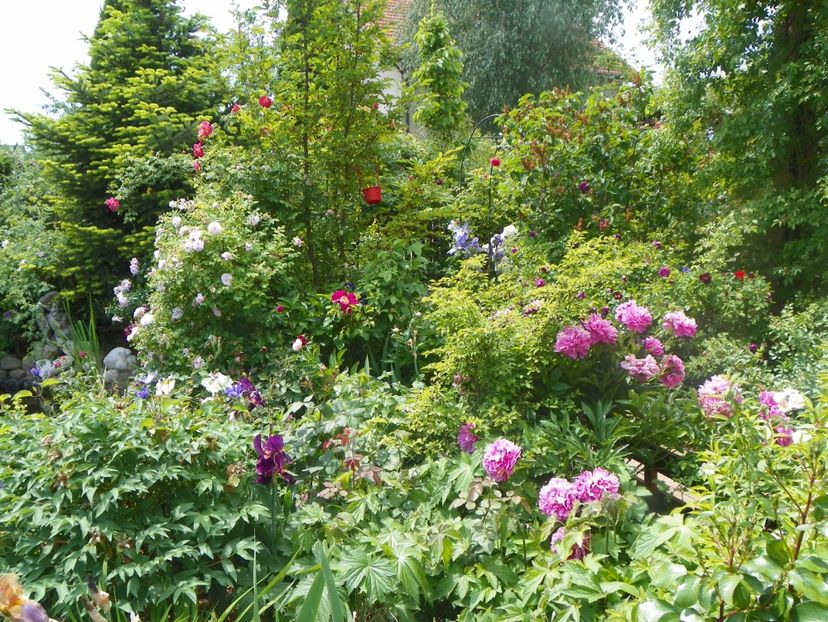 18 mai (138) - Gradina 2018