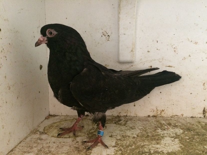 28 - 1-Lot zbor 2018