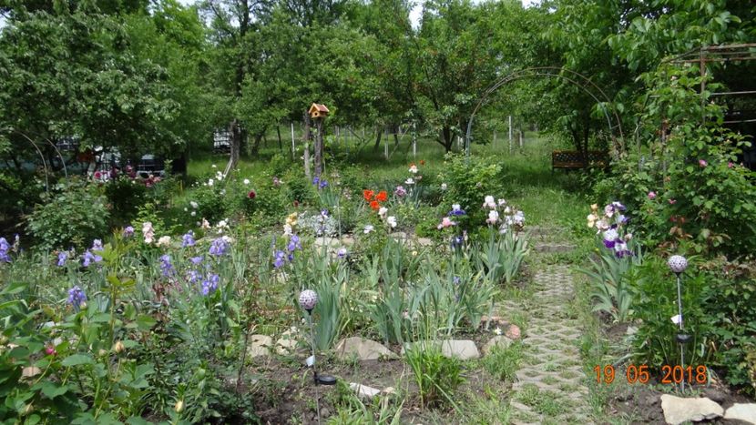  - De-ale lui Florar