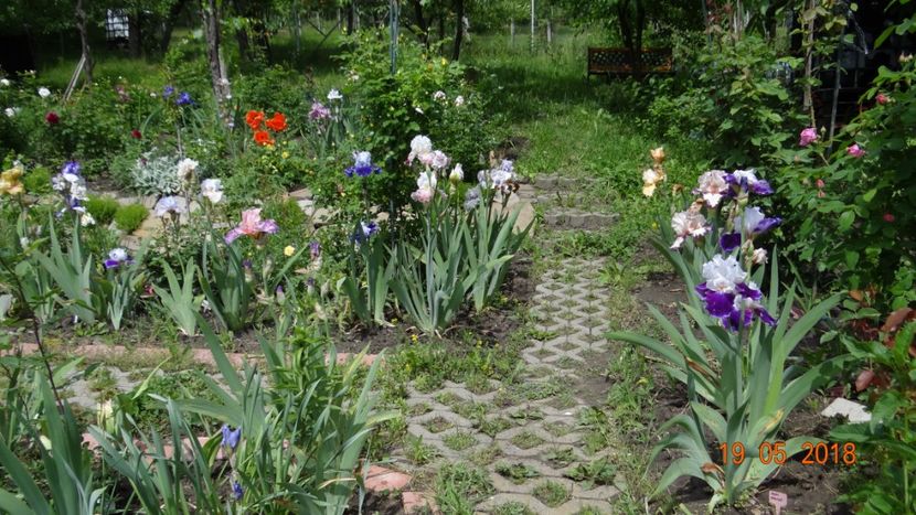  - De-ale lui Florar