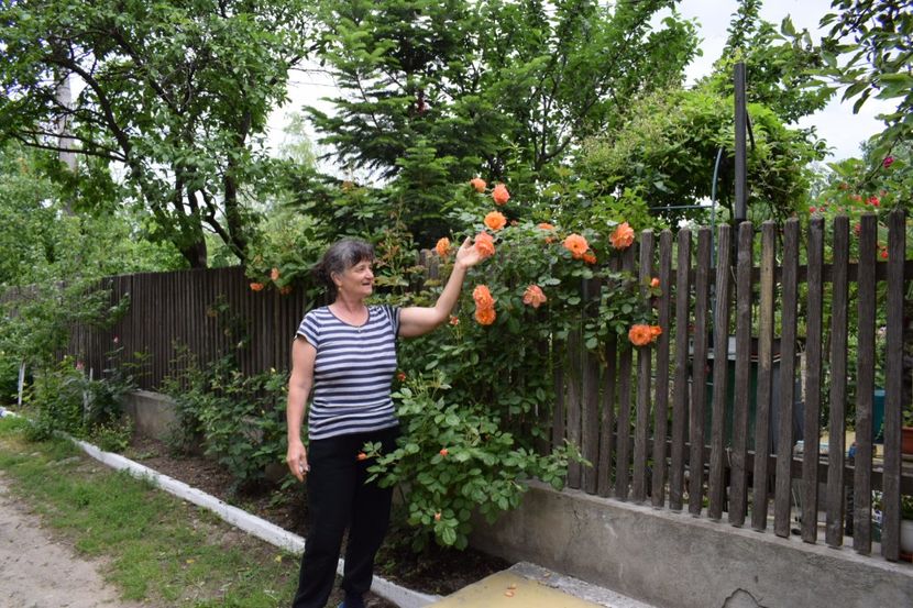  - Flori din gradina matusii